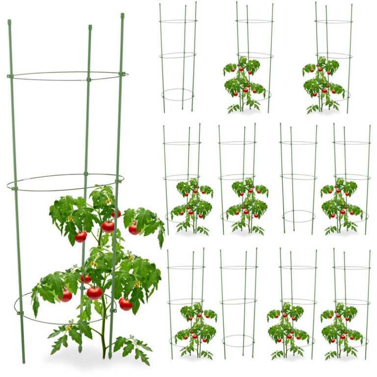 12x Rankhilfe Tomaten im Set, Höhenverstellbare Ringe, Pflanzstäbe, Balkon, Beet, Kunststoff, 76 cm lang, Grün