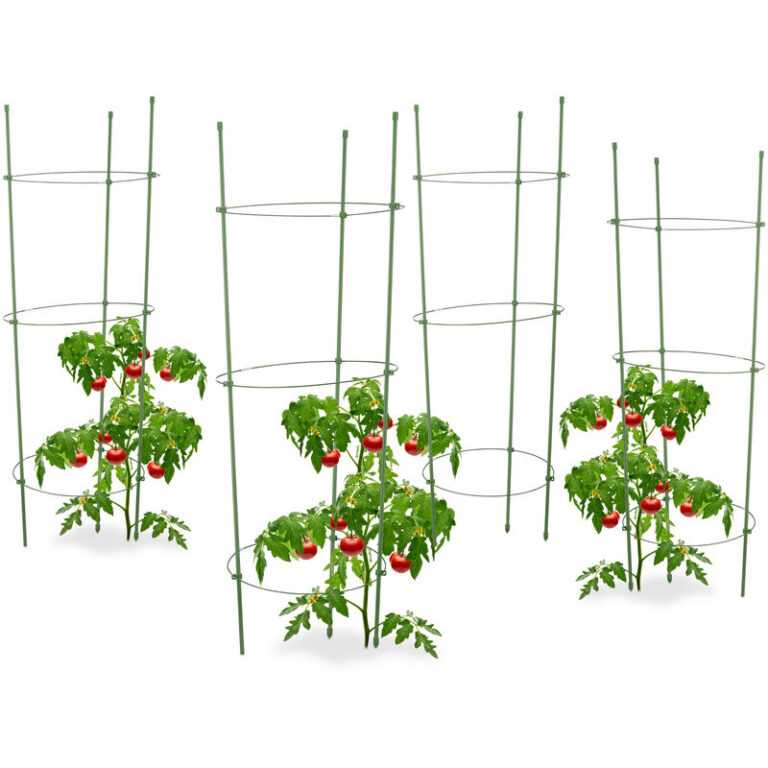 4x Rankhilfe Tomaten im Set, Höhenverstellbare Ringe, Pflanzstäbe, Balkon, Beet, Kunststoff, 76 cm lang, Grün