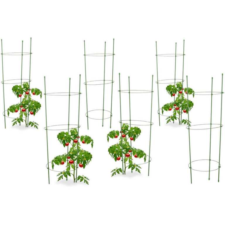 6x Rankhilfe Tomaten im Set, Höhenverstellbare Ringe, Pflanzstäbe, Balkon, Beet, Kunststoff, 76 cm lang, Grün