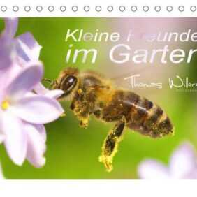 Kleine Freunde im Garten (Tischkalender 2023 DIN A5 quer)