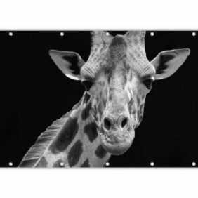 MuchoWow Balkonsichtschutz Giraffe - Wildtiere - Schwarz - Weiß - Porträt (1-St) Balkonbanner, Sichtschutz für den Balkon, Robustes und wetterfest