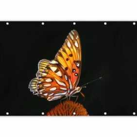 MuchoWow Balkonsichtschutz Schmetterling - Blumen - Insekt - Porträt - Schwarz - Orange (1-St) Balkonbanner, Sichtschutz für den Balkon, Robustes und wetterfest