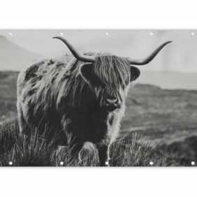 MuchoWow Balkonsichtschutz Schottischer Hochlandbewohner - Natur - Kühe - Tiere - Schwarz und (1-St) Balkonbanner, Sichtschutz für den Balkon, Robustes und wetterfest