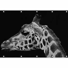 MuchoWow Balkonsichtschutz Tiere - Giraffe - Schwarz - Weiß (1-St) Balkonbanner, Sichtschutz für den Balkon, Robustes und wetterfest