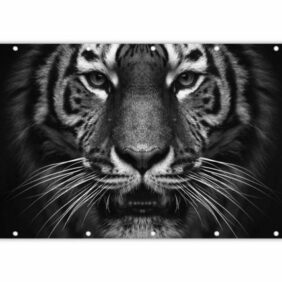 MuchoWow Balkonsichtschutz Tiger - Tiere - Schwarz - Weiß - Porträt - Wild (1-St) Balkonbanner, Sichtschutz für den Balkon, Robustes und wetterfest