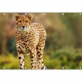 MuchoWow Balkonsichtschutz Wildtiere - Gras - Leopard - Natur (1-St) Balkonbanner, Sichtschutz für den Balkon, Robustes und wetterfest
