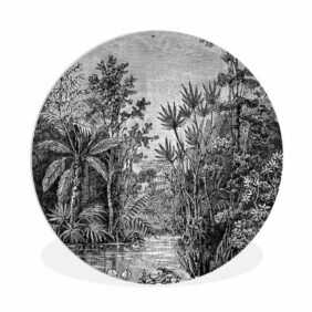 MuchoWow Gemälde Design - Natur - Wasser - Pflanzen, (1 St), Rundes wandbild für Wohnzimmer, Wandkreis, Wandschmuck, 90x90 cm