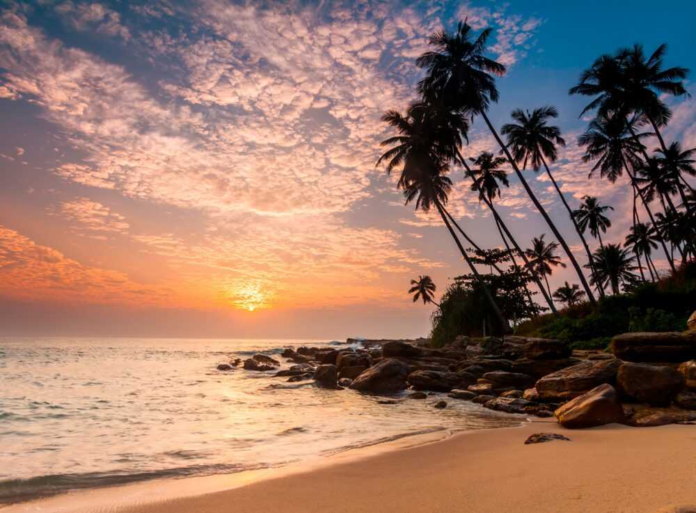 Papermoon Fototapete "Palm Beach Sri Lanka"