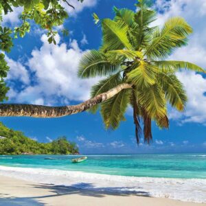 Papermoon Fototapete "Seychelles Palm Beach"