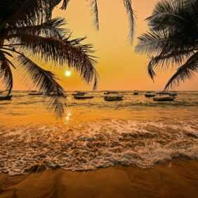 Papermoon Fototapete "Sri Lanka Palm Beach"