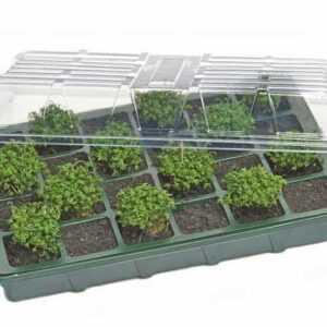 Spetebo Anzuchttopf Mini Gewächshaus - für die Anzucht von Samen