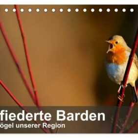 Gefiederte Barden - Singvögel unserer Region (Tischkalender 2024 DIN A5 quer), CALVENDO Monatskalender