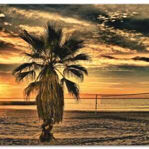 Artland Wandbild "Palme bei Sonnenuntergang", Sonnenaufgang & -untergang, (1 St.), als Alubild, Leinwandbild, Wandaufkleber oder Poster in versch. Grössen