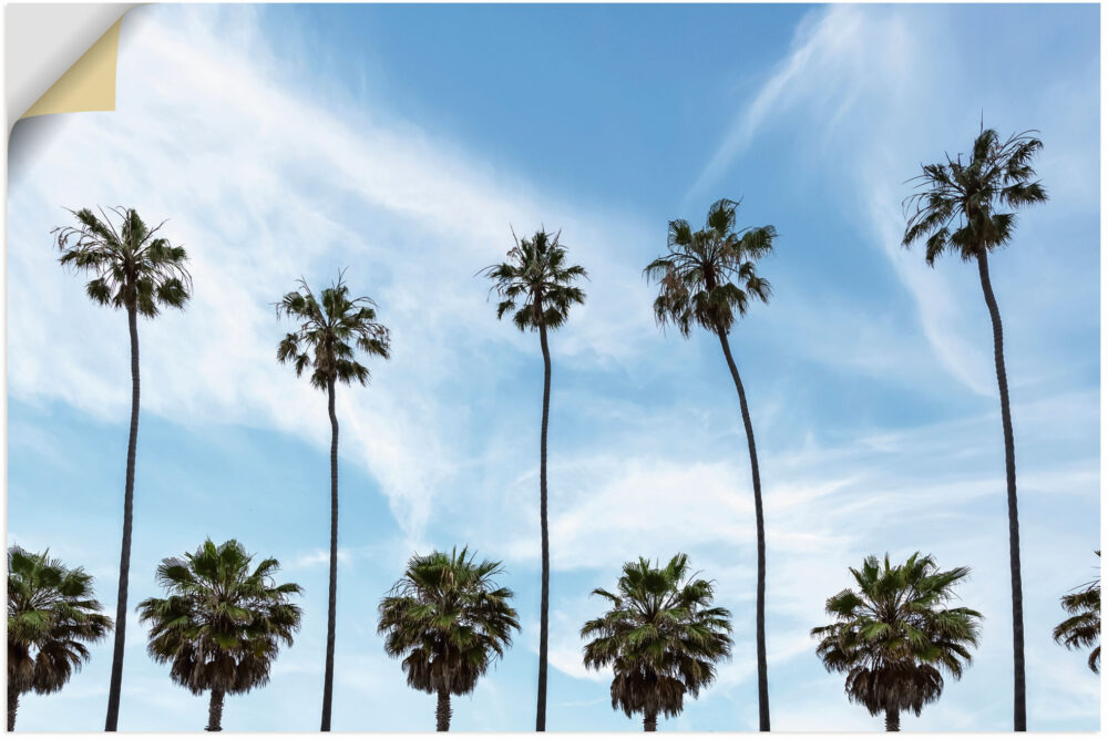 Artland Wandbild "Palmen an der Küste von La Jolla", Baumbilder, (1 St.), als Alubild, Leinwandbild, Wandaufkleber oder Poster in versch. Grössen