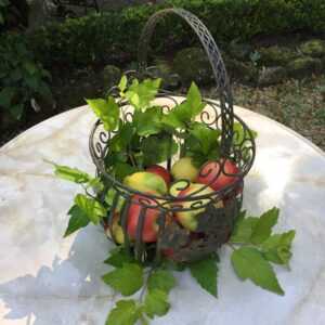 Früchtekörbe Küche Metall Schale für Obst Korb - Dekoration Schale Blumenkörbe