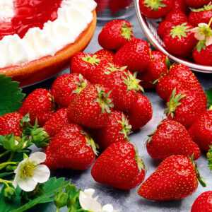 Immertragende Erdbeere 'Hummi® Meraldo HZ'