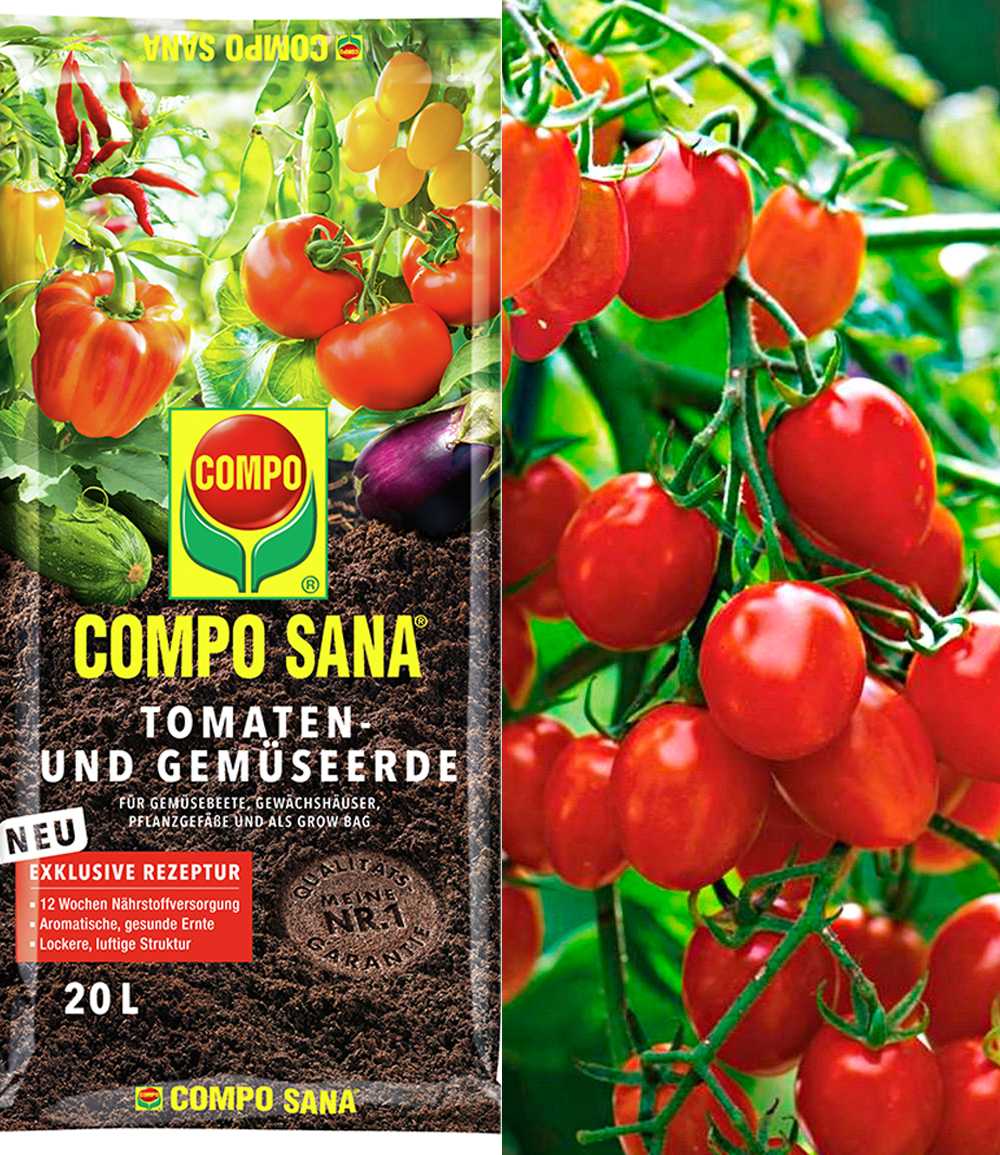 Snack-Tomate 'Romello' F1 & COMPO® SANA® Tomaten- und Gemüseerde