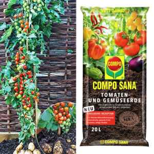 TomTato® & COMPO® SANA® Tomaten- und Gemüseerde