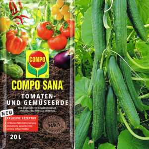 Veredelte Salatgurke 'Phönix®' & COMPO® SANA® Tomaten- und Gemüseerde