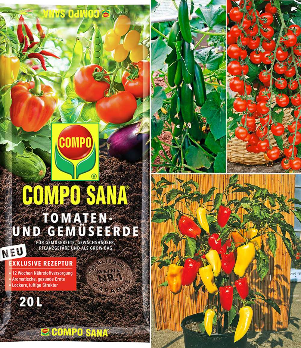Veredelte Snack-Gemüse Kollektion & COMPO® SANA® Tomaten- und Gemüseerde