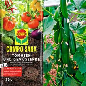 Veredelte Snack-Gurke 'Minik' & COMPO® SANA® Tomaten- und Gemüseerde