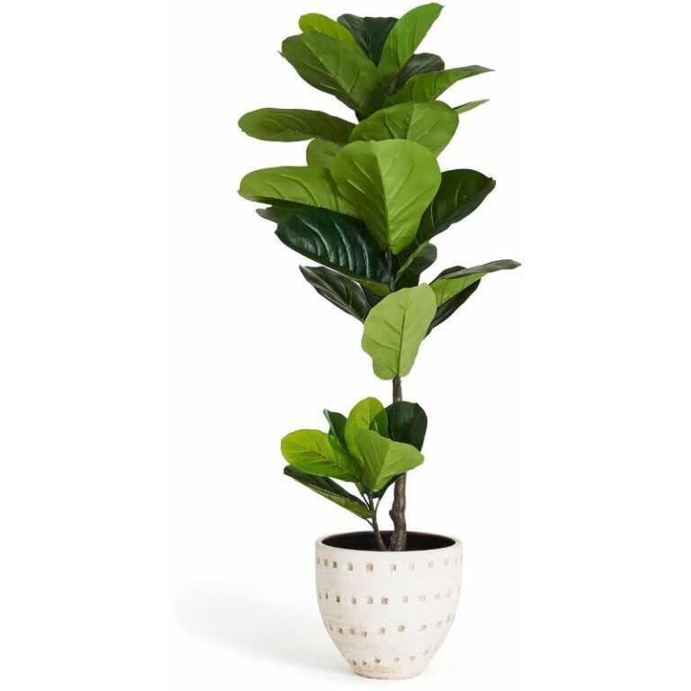 4ever Green - Künstliche Ficus 90 cm - Grün