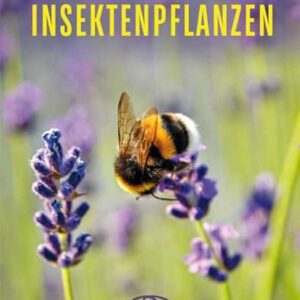 Bienen- & Insektenpflanzen