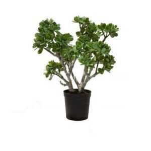 Kunstpflanze Crassula Ovata Jadebaum Kunstpflanze, 56 cm Jade, fleur ami, Höhe 56 cm