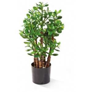 Kunstpflanze Geldbaum Crassula Ovata, Kunstpflanze, 60 cm Geldbaum Crassula Ovata, fleur ami, Höhe 60 cm