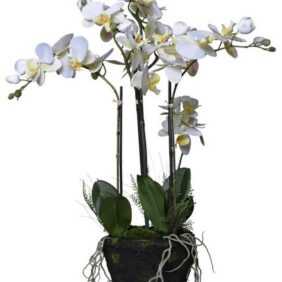 Kunstpflanze Kunstpflanze künstliche Orchidee im Erdballen Kunststoff ORCHIDELIS -, VIVANNO, Höhe 80 cm