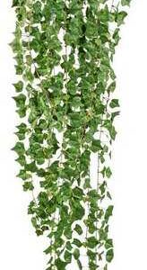 Kunstranke Englische Efeuranke, Creativ green, Höhe 170 cm, hängender Efeu, ohne Topf