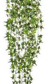 Kunstranke Englische Efeuranke, Creativ green, Höhe 180 cm, hängender Efeu, ohne Topf