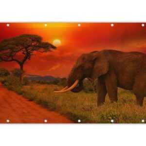 MuchoWow Balkonsichtschutz Elefant - Sonnenuntergang - Orange - Savanne - Tiere (1-St) Balkonbanner, Sichtschutz für den Balkon, Robustes und wetterfest