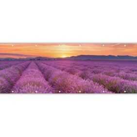 MuchoWow Balkonsichtschutz Lavendel - Frankreich - Sonnenuntergang - Natur (1-St) Balkonbanner, Sichtschutz für den Balkon, Robustes und wetterfest
