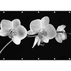 MuchoWow Balkonsichtschutz Orchidee - Blumen - Schwarz - Rosa - Knöpfe (1-St) Balkonbanner, Sichtschutz für den Balkon, Robustes und wetterfest