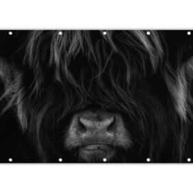 MuchoWow Balkonsichtschutz Schottischer Highlander - Kuh - Porträt - Tiere - Schwarz - Weiß (1-St) Balkonbanner, Sichtschutz für den Balkon, Robustes und wetterfest