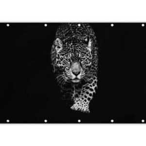 MuchoWow Balkonsichtschutz Tiere - Schwarz - Leopard - Weiß - Wild (1-St) Balkonbanner, Sichtschutz für den Balkon, Robustes und wetterfest