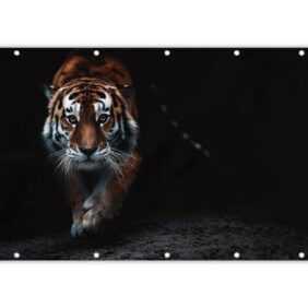 MuchoWow Balkonsichtschutz Tiere - Tiger - Schwarz - Wild - Porträt (1-St) Balkonbanner, Sichtschutz für den Balkon, Robustes und wetterfest