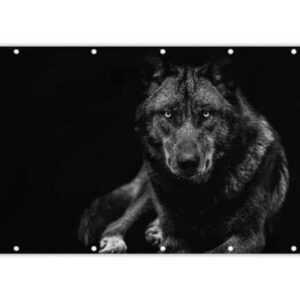 MuchoWow Balkonsichtschutz Tiere - Wolf - Schwarz - Weiß - Porträt (1-St) Balkonbanner, Sichtschutz für den Balkon, Robustes und wetterfest