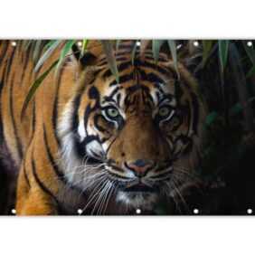 MuchoWow Balkonsichtschutz Tiger - Blätter - Dschungel - Tiere - Wild (1-St) Balkonbanner, Sichtschutz für den Balkon, Robustes und wetterfest