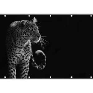 MuchoWow Balkonsichtschutz Wildtiere - Leopard - Natur - Schwarz - Weiß (1-St) Balkonbanner, Sichtschutz für den Balkon, Robustes und wetterfest
