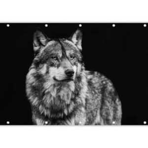 MuchoWow Balkonsichtschutz Wolf - Tiere - Wild - Schwarz - Weiß (1-St) Balkonbanner, Sichtschutz für den Balkon, Robustes und wetterfest