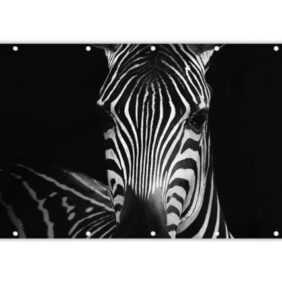 MuchoWow Balkonsichtschutz Zebra - Schwarz - Weiß - Tiere (1-St) Balkonbanner, Sichtschutz für den Balkon, Robustes und wetterfest
