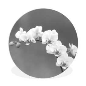 MuchoWow Gemälde Orchidee - Blumen - Pflanze - Weiß - Lila, (1 St), Rundes wandbild für Wohnzimmer, Wandkreis, Wandschmuck, 90x90 cm