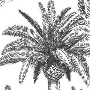 MyMaxxi Sichtschutzelement Balkonbanner Palmengarten schwarz weiß Balkon Sichtschutz Garten