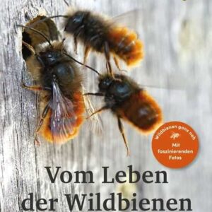 Vom Leben der Wildbienen