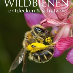 Wildbienen entdecken & schützen