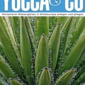 Yucca & Co