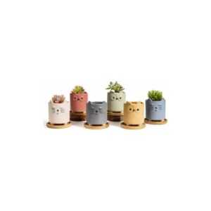 Amirror Smart Ug - Keramik-Blumentopf mit Bambus-Tablett, 6er-Set, Kleintier-Pflanzgefäß, grobe Keramik, matte Oberfläche, Pflanzbehälter für den