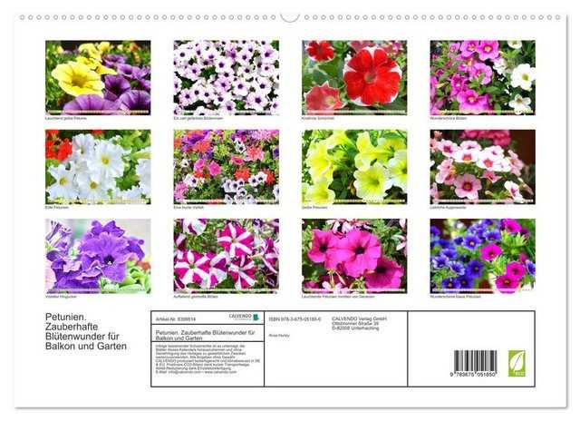 CALVENDO Wandkalender Petunien. Zauberhafte Blütenwunder für Balkon und Garten (Premium, hochwertiger DIN A2 Wandkalender 2023, Kunstdruck in Hochglanz)
